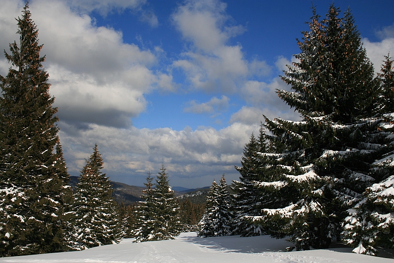 Turbacz 22.03.08 104